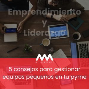 5 consejos para gestionar equipos pequeños en tu pyme